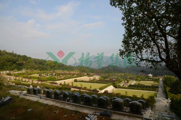 鸿运国际·(中国)集团-鸿运官网接待你