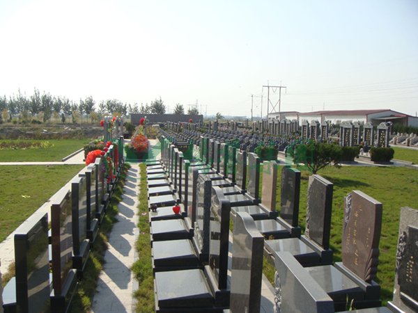 鸿运国际·(中国)集团-鸿运官网接待你