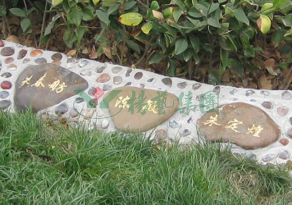 鸿运国际·(中国)集团-鸿运官网接待你