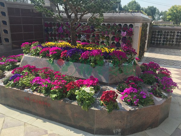 鸿运国际·(中国)集团-鸿运官网接待你