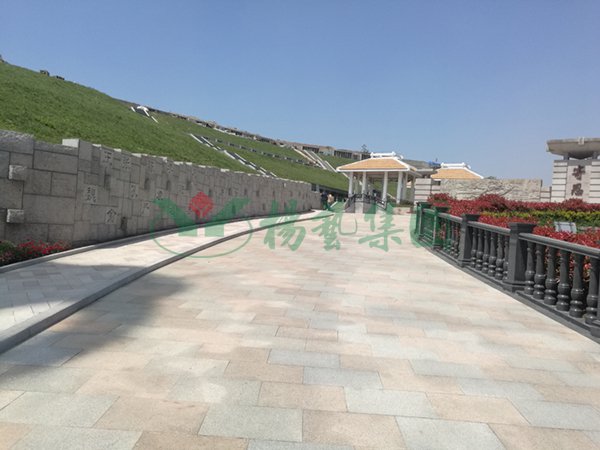 鸿运国际·(中国)集团-鸿运官网接待你