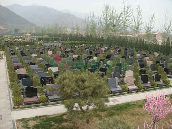 鸿运国际·(中国)集团-鸿运官网接待你