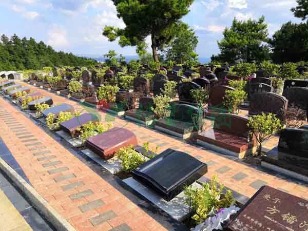 鸿运国际·(中国)集团-鸿运官网接待你