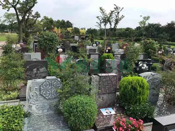 鸿运国际·(中国)集团-鸿运官网接待你