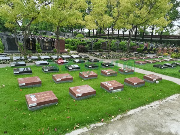 鸿运国际·(中国)集团-鸿运官网接待你