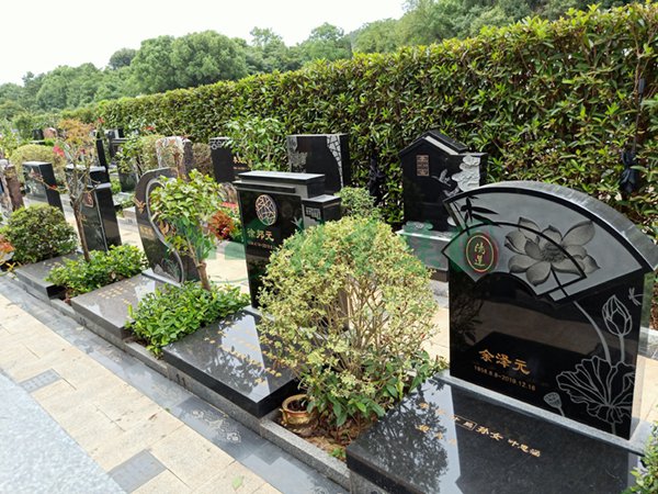 鸿运国际·(中国)集团-鸿运官网接待你