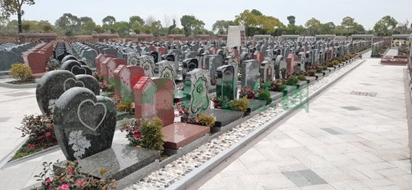 鸿运国际·(中国)集团-鸿运官网接待你