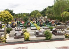 上；；；；；；；；懔靶腔鹎