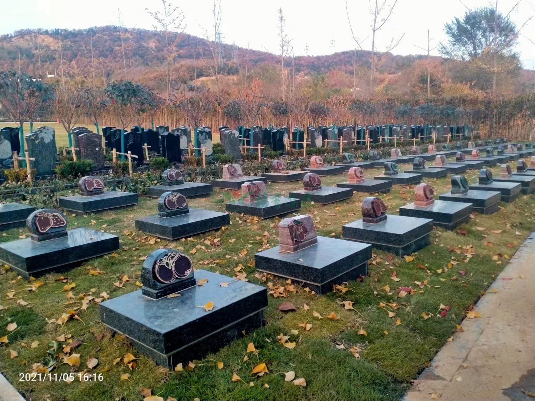 鸿运国际·(中国)集团-鸿运官网接待你