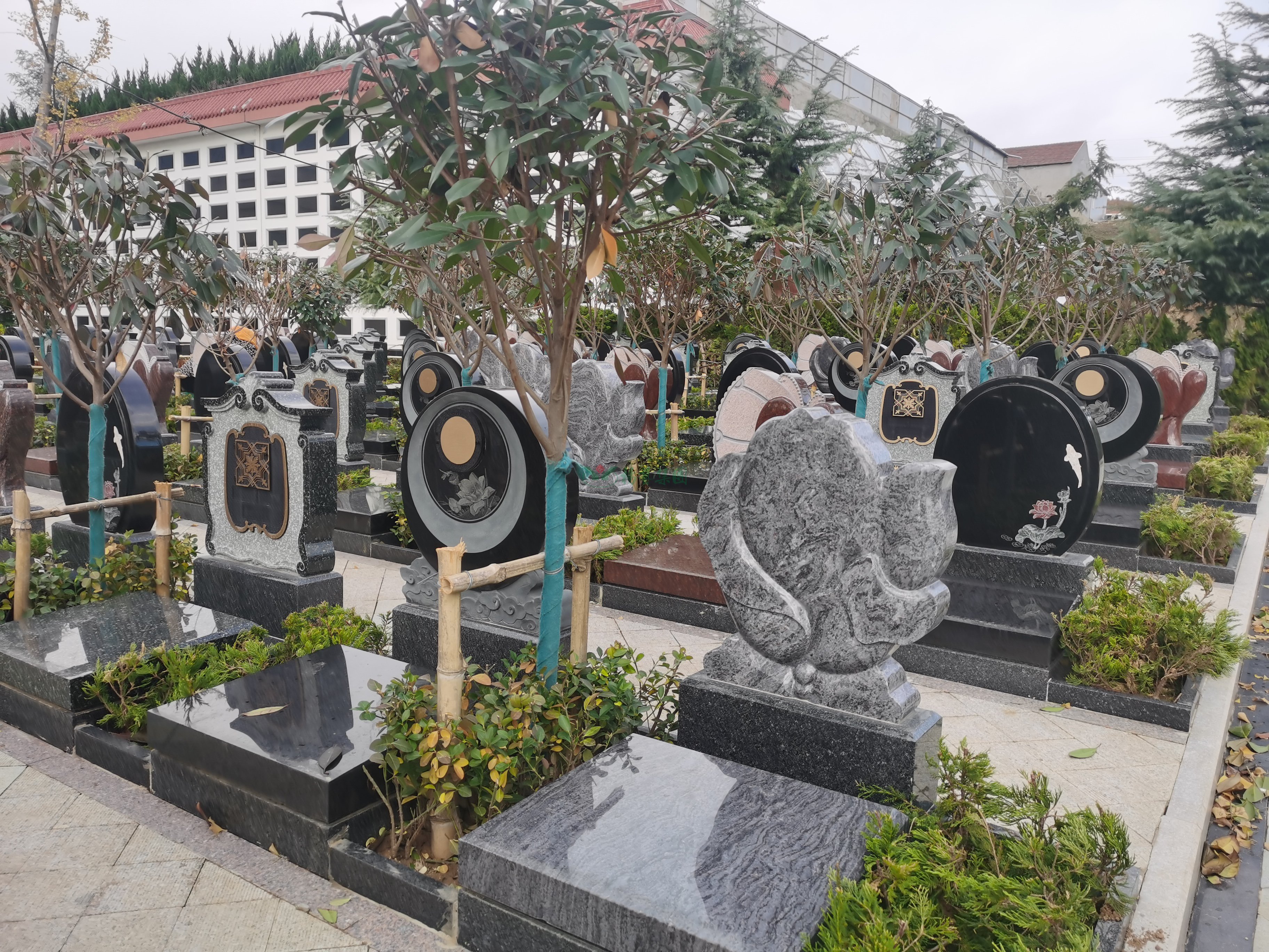 鸿运国际·(中国)集团-鸿运官网接待你