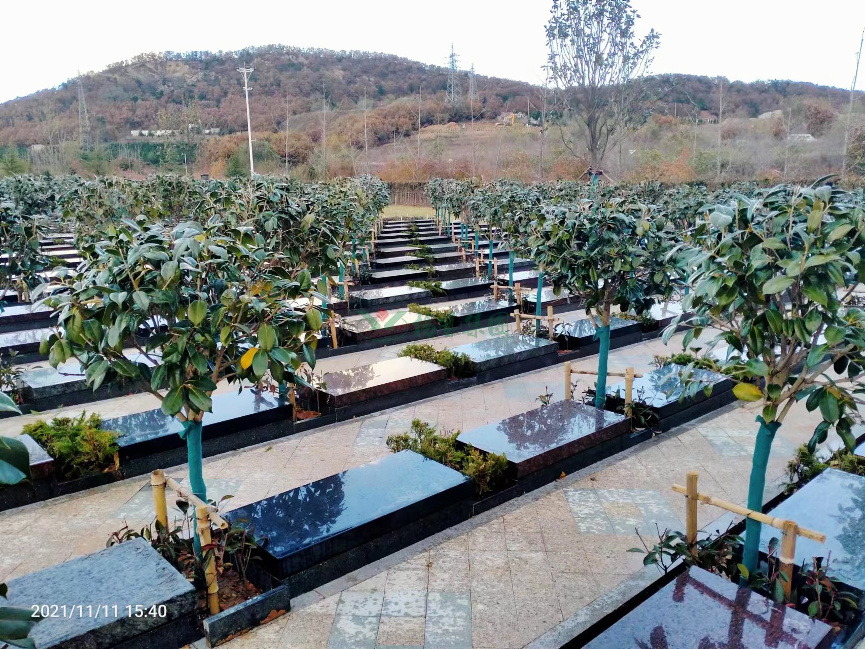 鸿运国际·(中国)集团-鸿运官网接待你