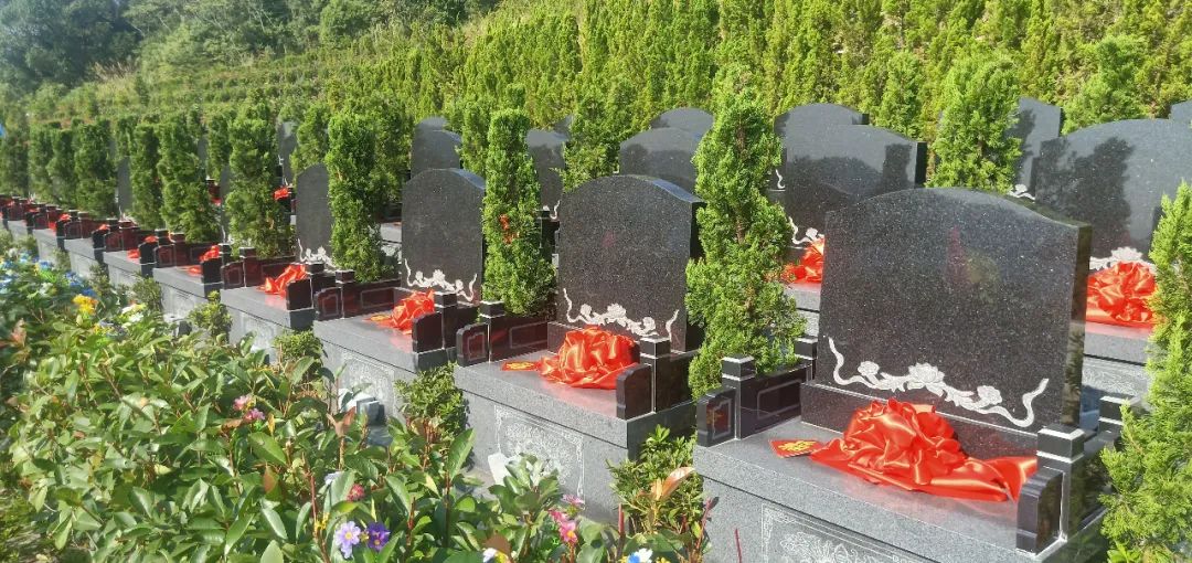 鸿运国际·(中国)集团-鸿运官网接待你