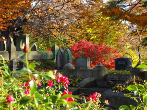 鸿运国际·(中国)集团-鸿运官网接待你