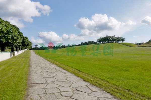 鸿运国际·(中国)集团-鸿运官网接待你