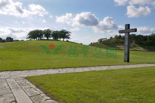 鸿运国际·(中国)集团-鸿运官网接待你