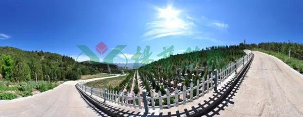 鸿运国际·(中国)集团-鸿运官网接待你