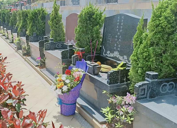 鸿运国际·(中国)集团-鸿运官网接待你