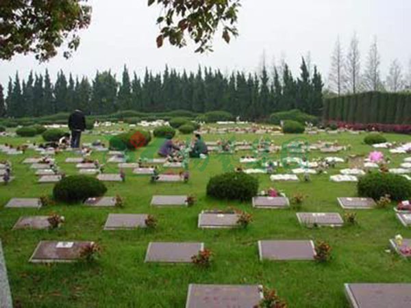 鸿运国际·(中国)集团-鸿运官网接待你