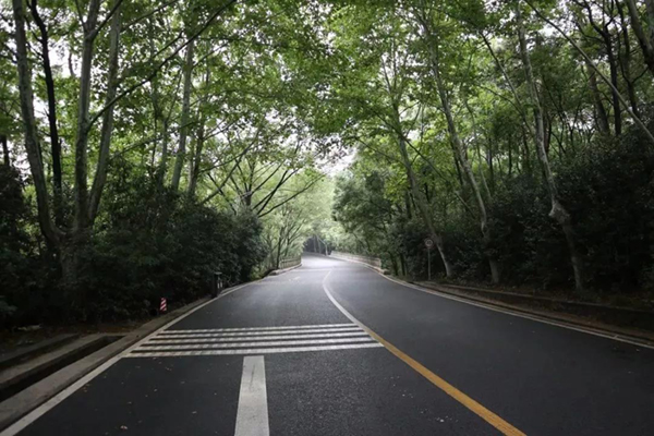 鸿运国际·(中国)集团-鸿运官网接待你