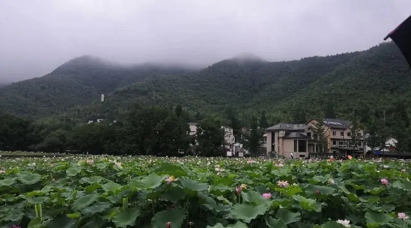 鸿运国际·(中国)集团-鸿运官网接待你