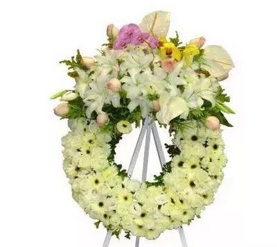 鸿运国际·(中国)集团-鸿运官网接待你