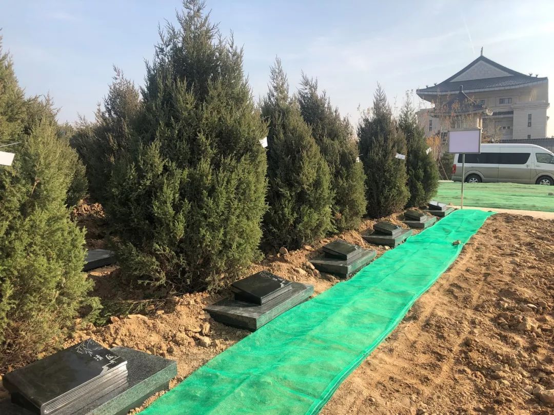 鸿运国际·(中国)集团-鸿运官网接待你