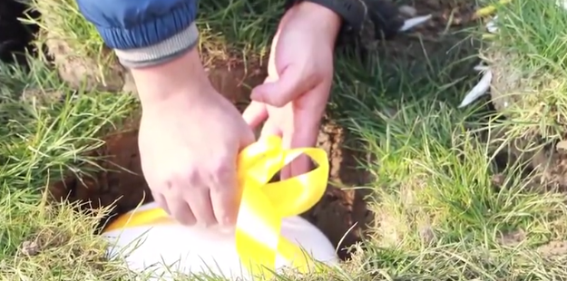 鸿运国际·(中国)集团-鸿运官网接待你