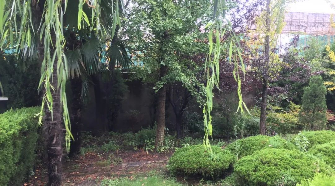 鸿运国际·(中国)集团-鸿运官网接待你