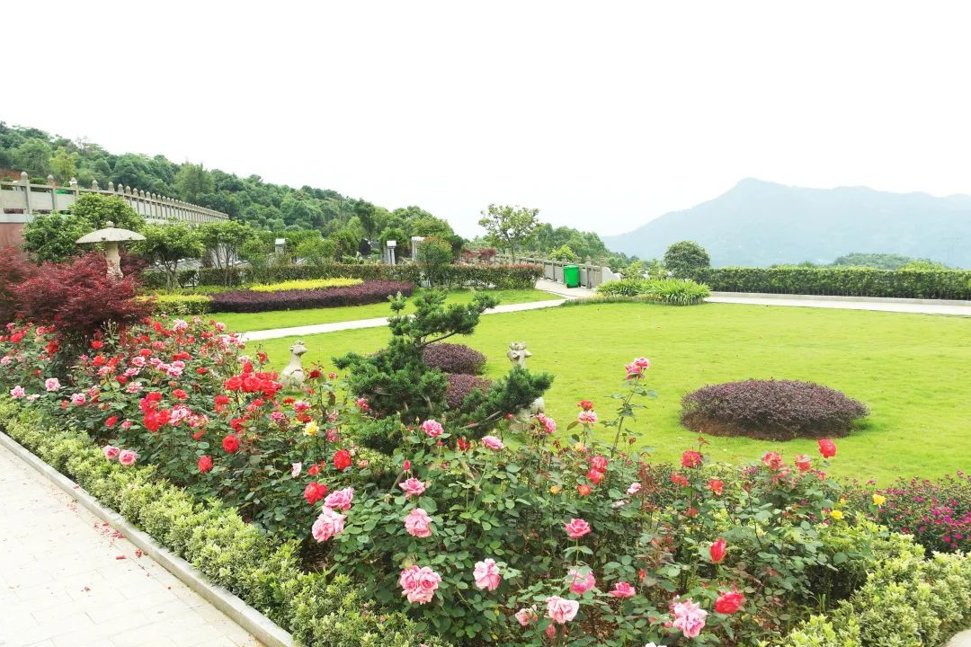 鸿运国际·(中国)集团-鸿运官网接待你