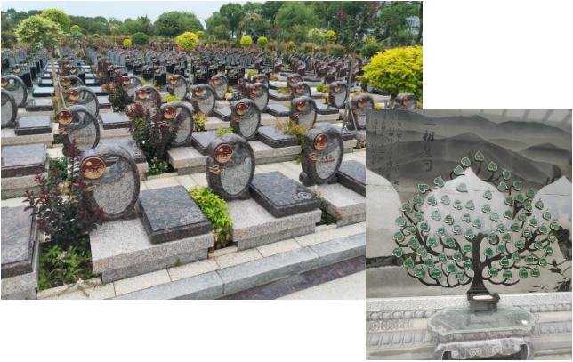 鸿运国际·(中国)集团-鸿运官网接待你