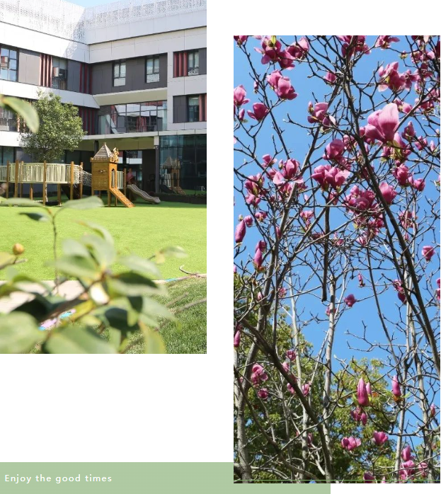 鸿运国际·(中国)集团-鸿运官网接待你