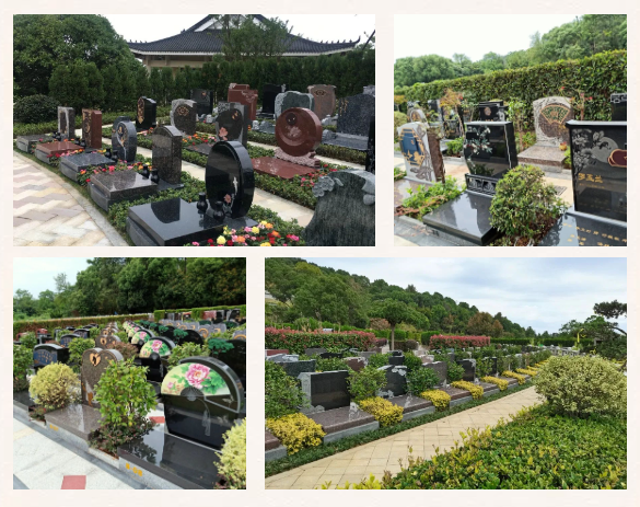 鸿运国际·(中国)集团-鸿运官网接待你