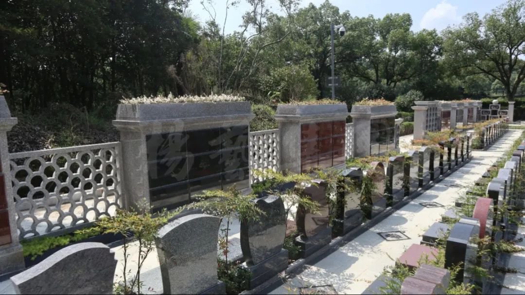 鸿运国际·(中国)集团-鸿运官网接待你