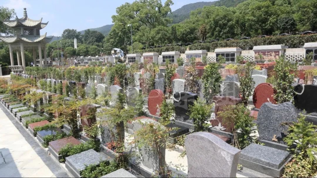 鸿运国际·(中国)集团-鸿运官网接待你