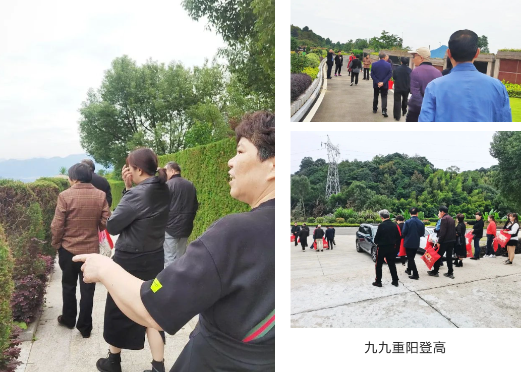 鸿运国际·(中国)集团-鸿运官网接待你