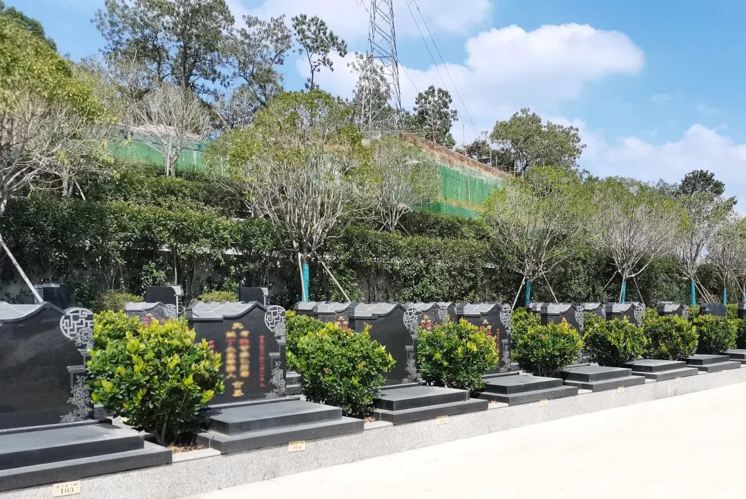 鸿运国际·(中国)集团-鸿运官网接待你