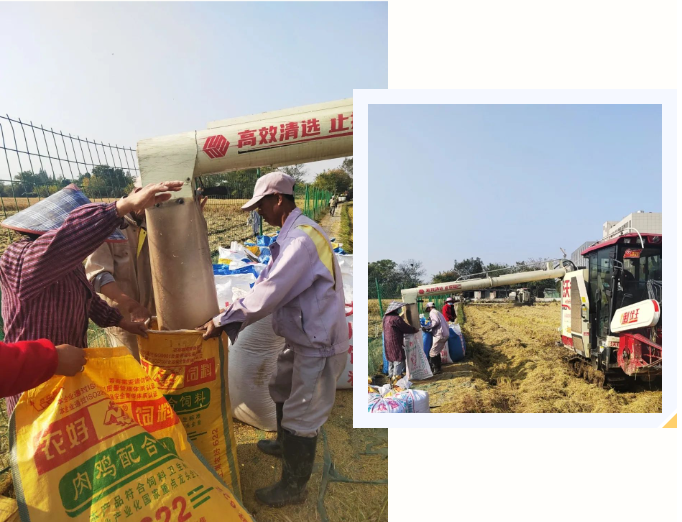 鸿运国际·(中国)集团-鸿运官网接待你