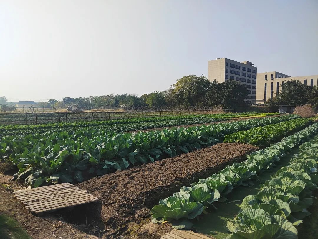 鸿运国际·(中国)集团-鸿运官网接待你