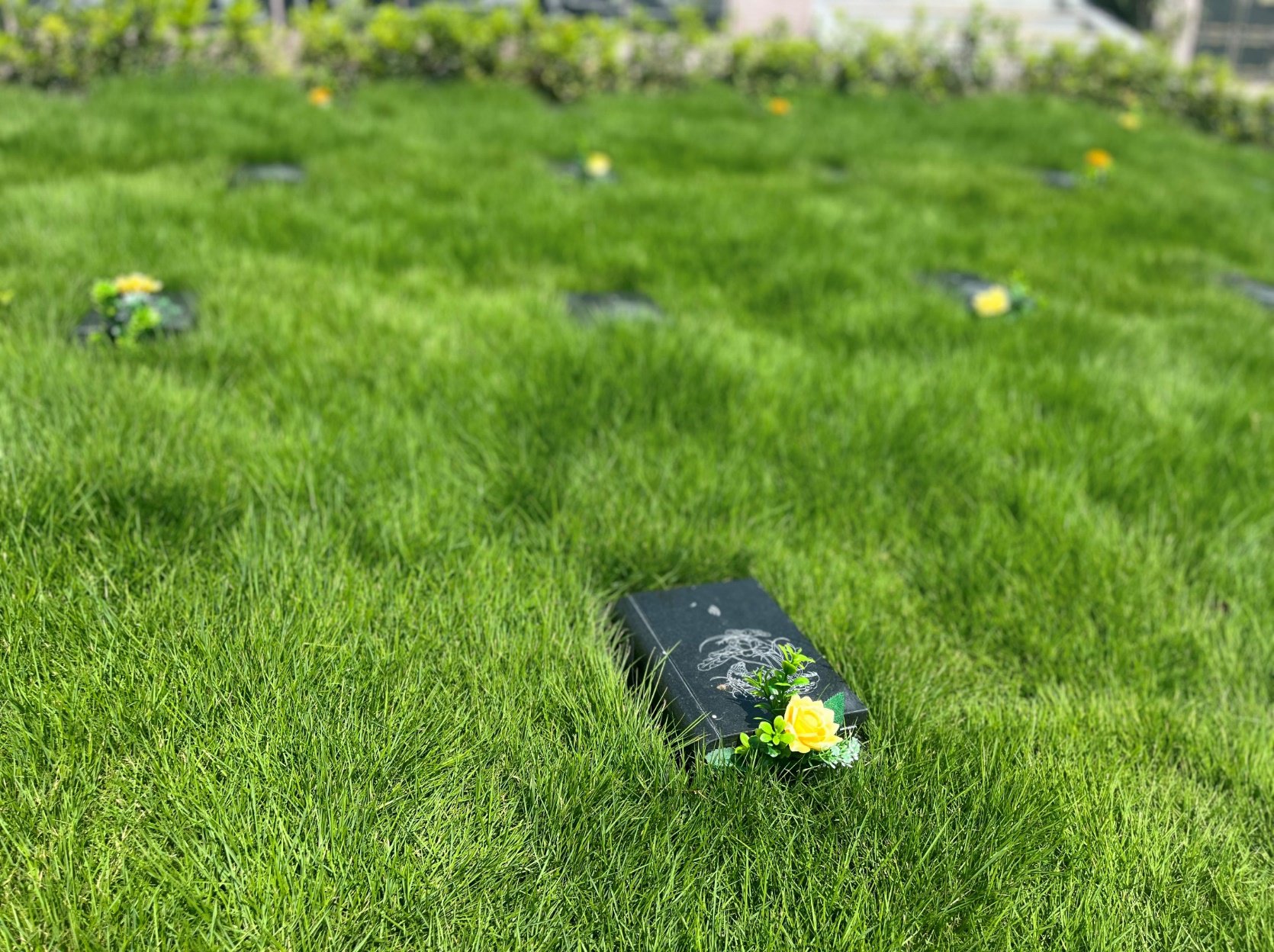 鸿运国际·(中国)集团-鸿运官网接待你