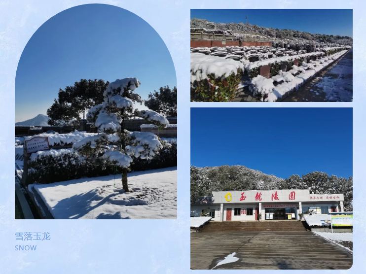 鸿运国际·(中国)集团-鸿运官网接待你