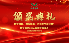 2024年鸿运国际集团迎新春年会暨颁奖仪式盛放纵行