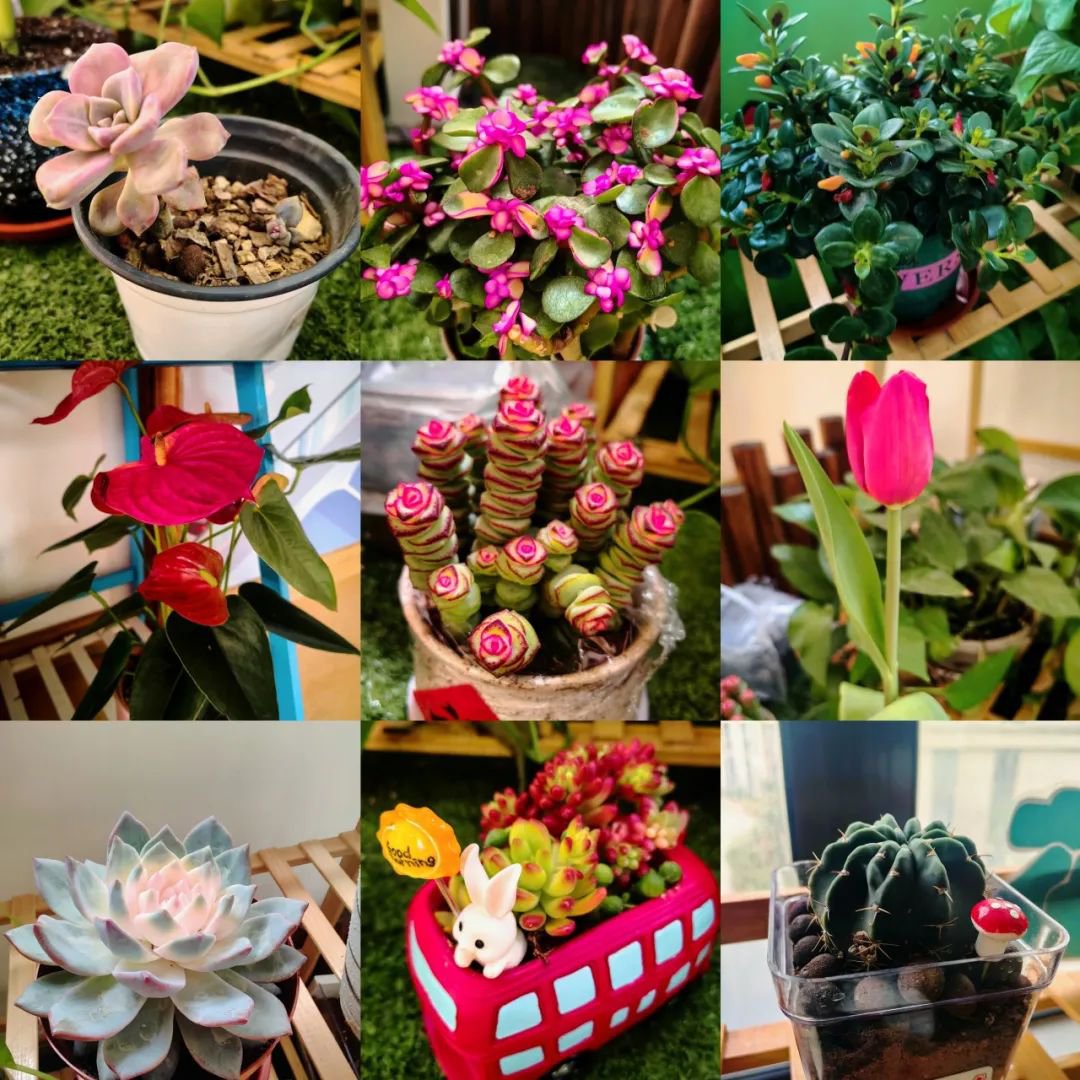 鸿运国际·(中国)集团-鸿运官网接待你