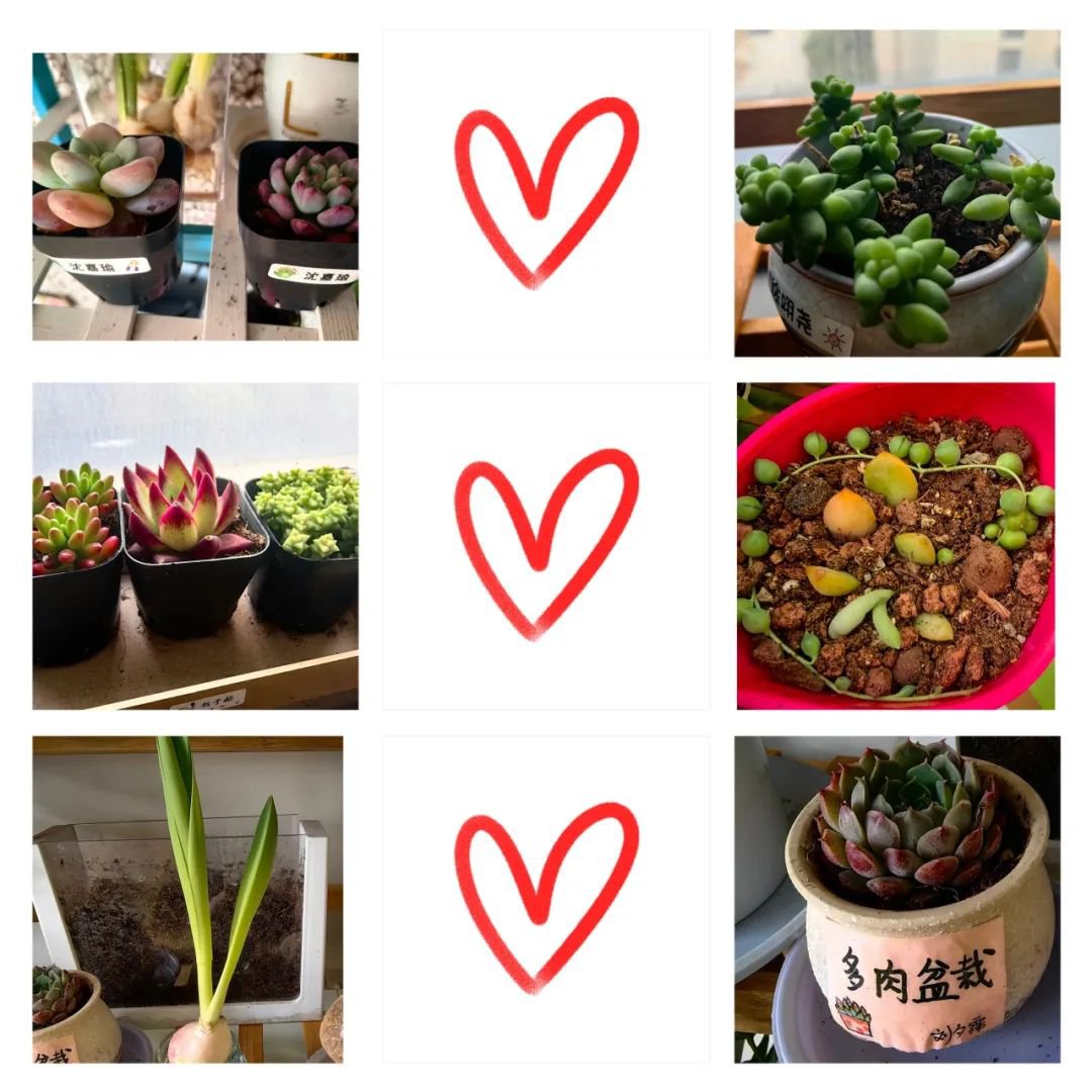 鸿运国际·(中国)集团-鸿运官网接待你