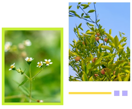 鸿运国际·(中国)集团-鸿运官网接待你