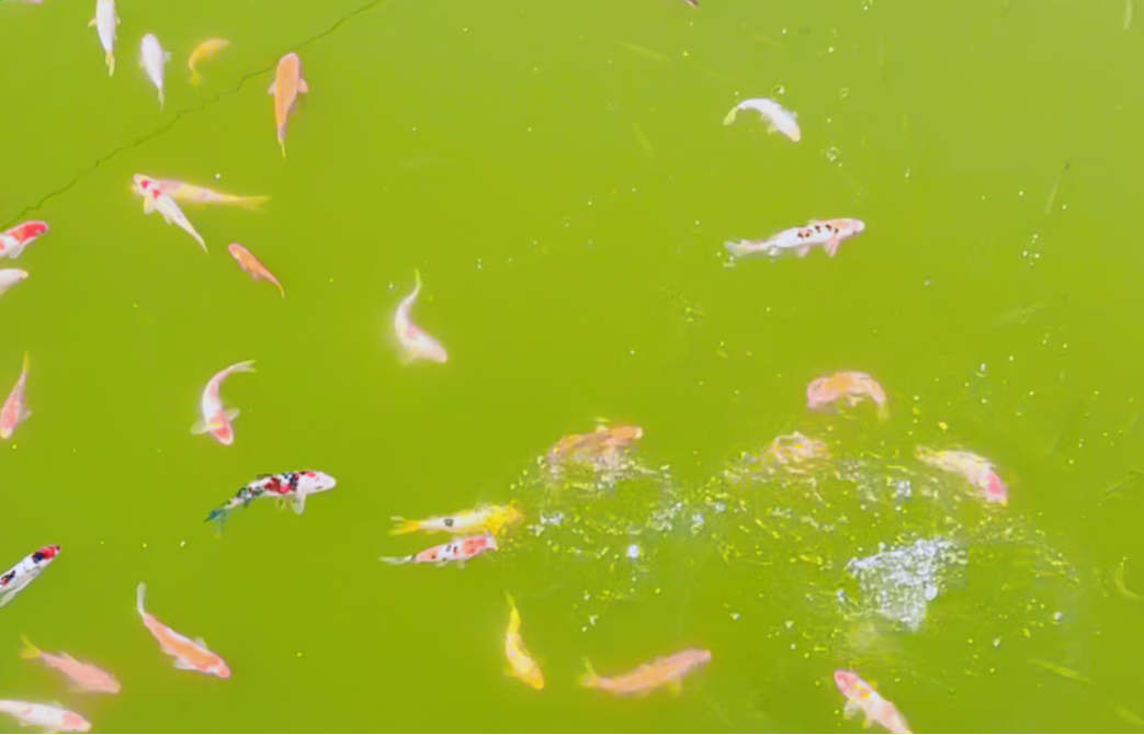 鸿运国际·(中国)集团-鸿运官网接待你