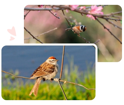 鸿运国际·(中国)集团-鸿运官网接待你