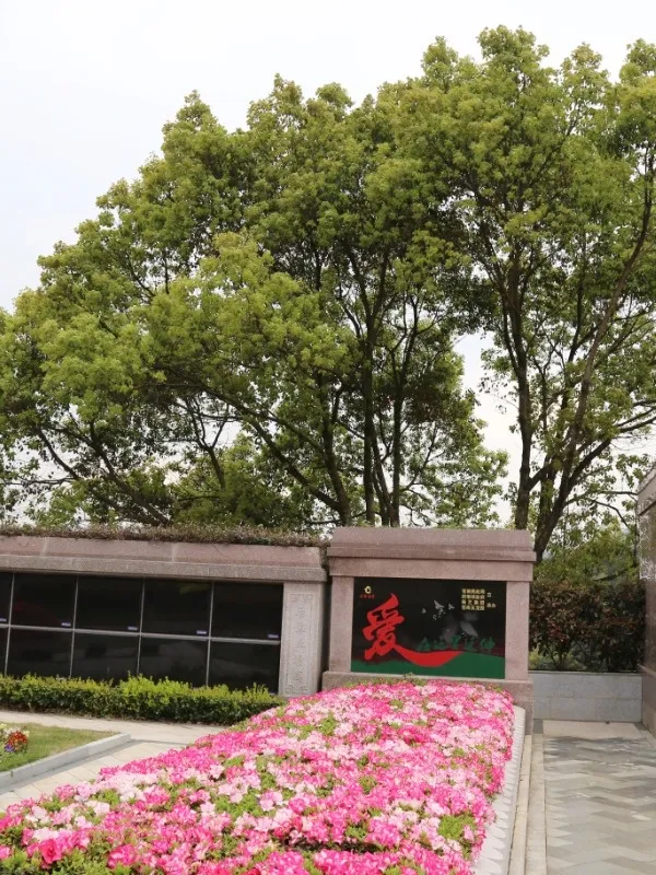 鸿运国际·(中国)集团-鸿运官网接待你