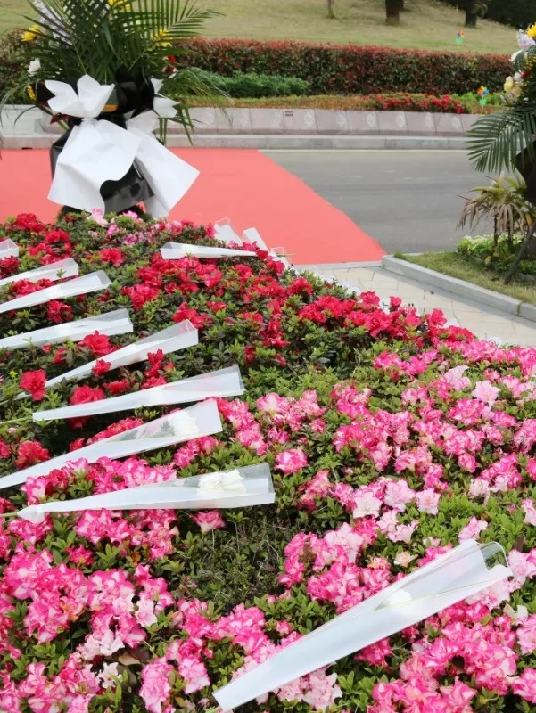 鸿运国际·(中国)集团-鸿运官网接待你