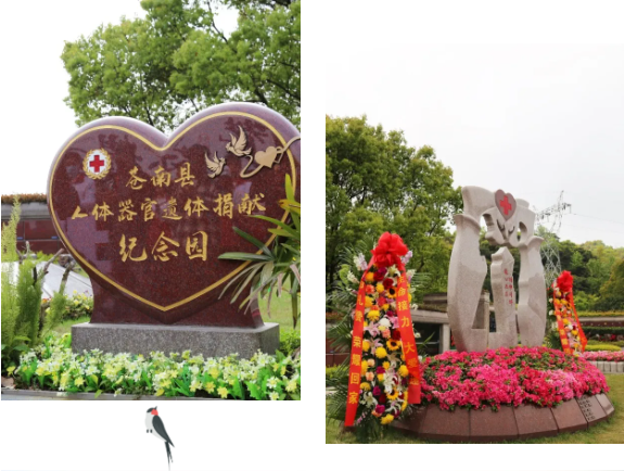 鸿运国际·(中国)集团-鸿运官网接待你