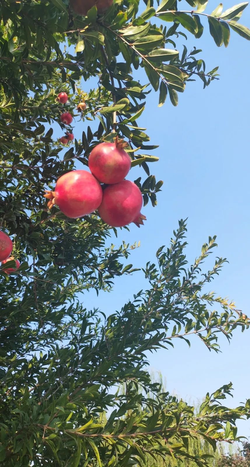 鸿运国际·(中国)集团-鸿运官网接待你